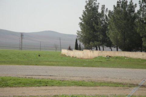 13841-DSC00953 