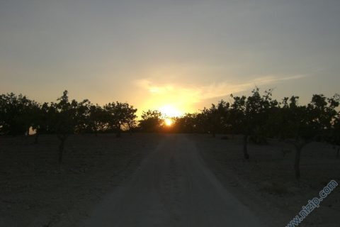 söğütlüde gün batımı 