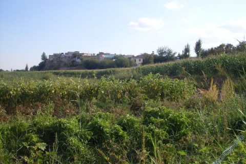 köyümüz 