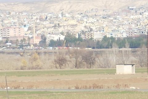 koyden bireciğe bakış 