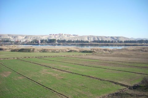 koyden manazara 