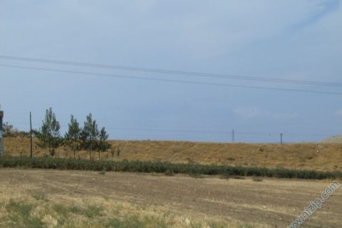 suboyu  koyu 