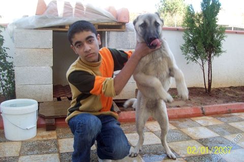 6907-Tekin 