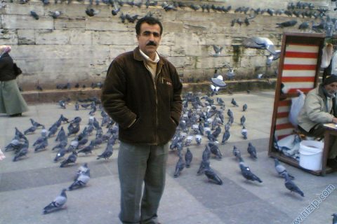 6907-HALITTURKMEN 