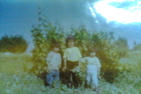 bilin bakalım kım 