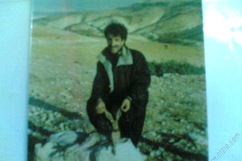 yeni muhtar tavşan avında 