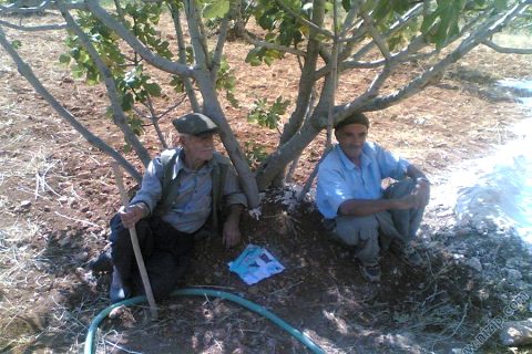 sadin demir&yasin aslan 