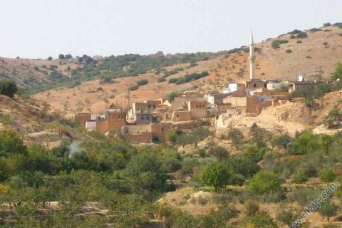 BAHÇELER VE KÖYÜMÜZ 
