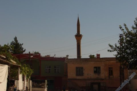 Tatlıcak 