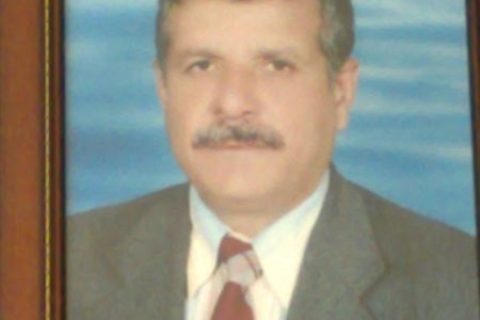 toydemir koyunun efendisi 