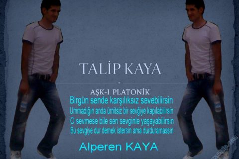 talip kaya 