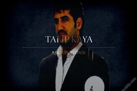 talip kaya 