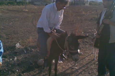 kamil polat 