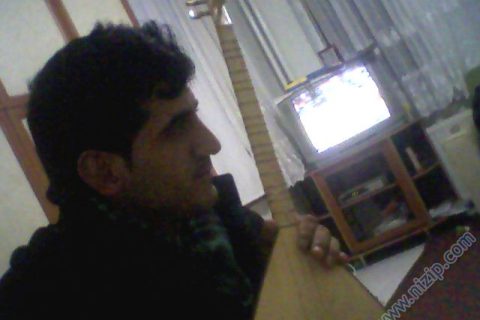 talip 