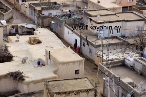 işte yagmuralan 