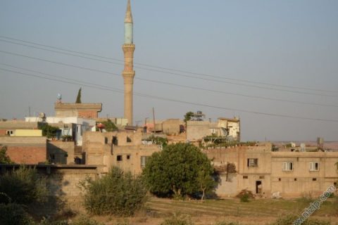 Yeniyazi Köy 