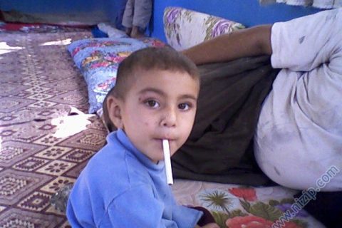 şıho gören 