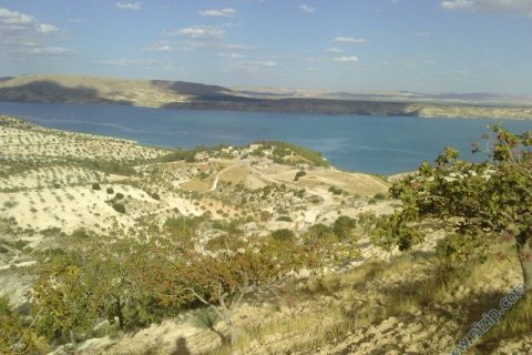 AKFIRAT ÇİFTLİĞİ VE BARAJ GÖLÜ 