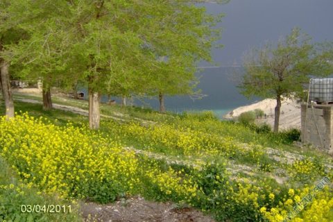 AKFIRAT ÇİFTLİĞİ'NDE BAHAR MEVSİMİ 