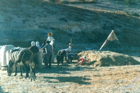 YEŞİLTEPE-MINDIKLI(akfırat çiftliği harman yeri) 