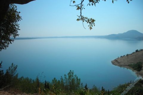 akfırat çiftliği 