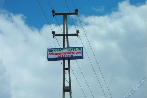 6969-DSCN2048 