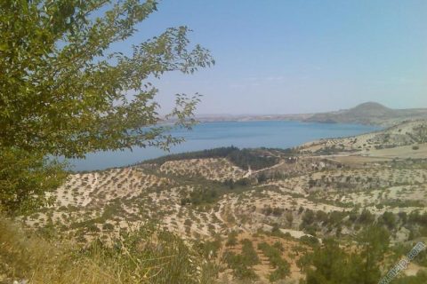 Akfırat Çiftliği 