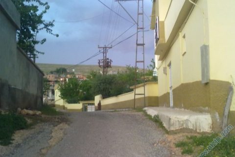 29042010055 