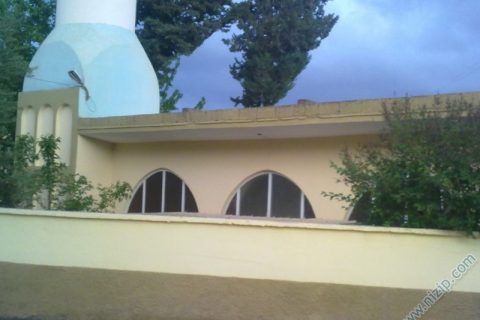 29042010058 