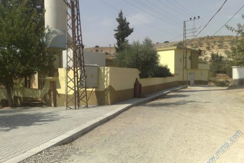 CAMİ YOLU 