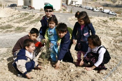 2009 ağaç dikimi 