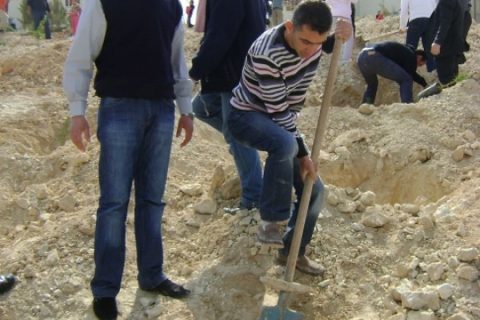 meslek yüksek okulu fidan dikimi 