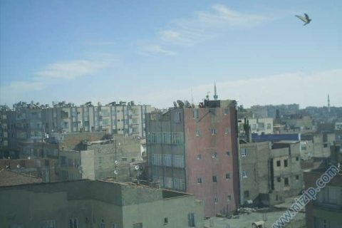 Niizp kuş bakışı Selim Bacaksız 