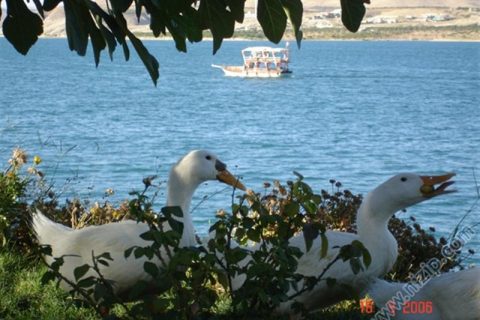 zeugmada tekne turu doğa ve göl içiçe... 