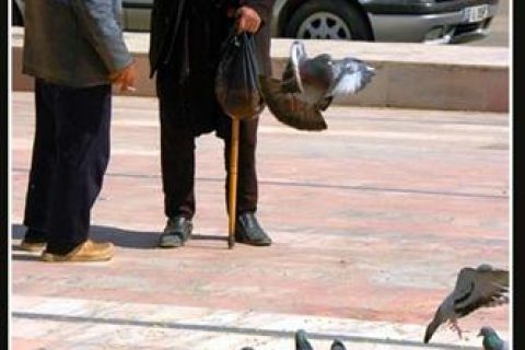 nereye Yorum 