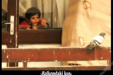 Balkondaki kuş 