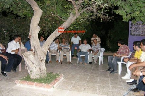 2. nizip.com gecesi 