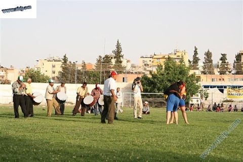 Aba güreşi 