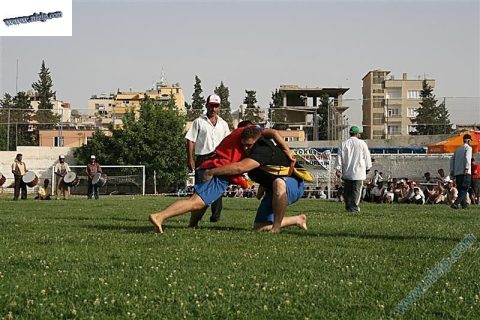 Aba güreşi 