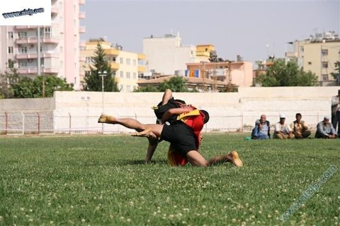 Aba güreşi 