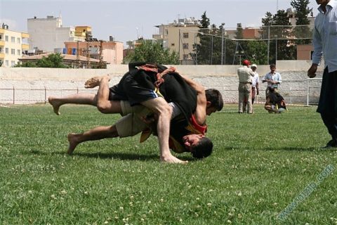 Aba güreşi 