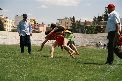 Aba güreşi 