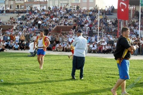 aba güreşleri 