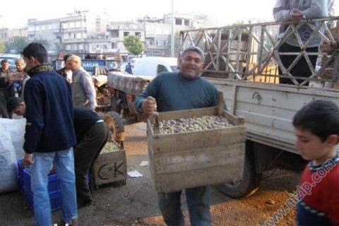 aba güreşi 
