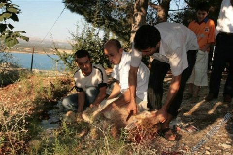 18 agustos toplantısı 
