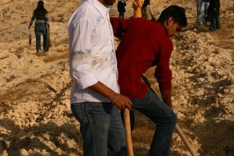 2007 yılı Yüksek okul bölgesi fidan dikimi 