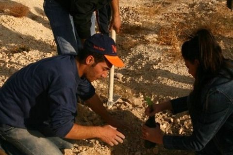 Yüksekokul Bölgesine Ağaç Dikimi 2007 