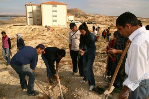 Yüksekokul Bölgesine Ağaç Dikimi 2007 