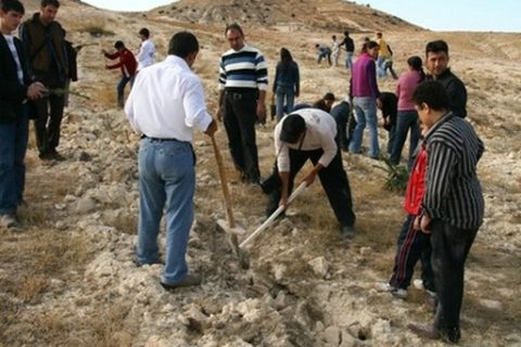 Yüksekokul Bölgesine Ağaç Dikimi 