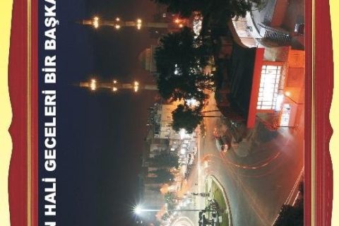 sayfa6 